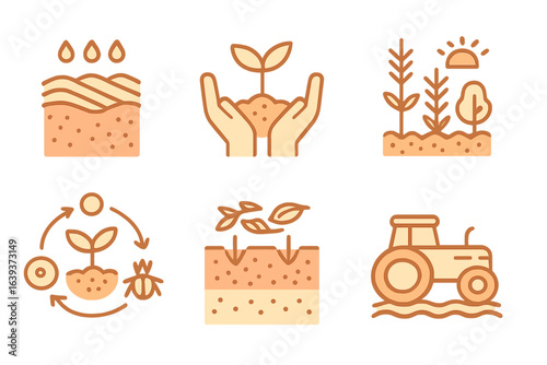 Illustration of key steps in sustainable agriculture focusing on plant growth and farming practices