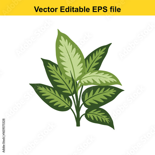Indoor plant vector art of green plant with patterned leaves isolated on white background