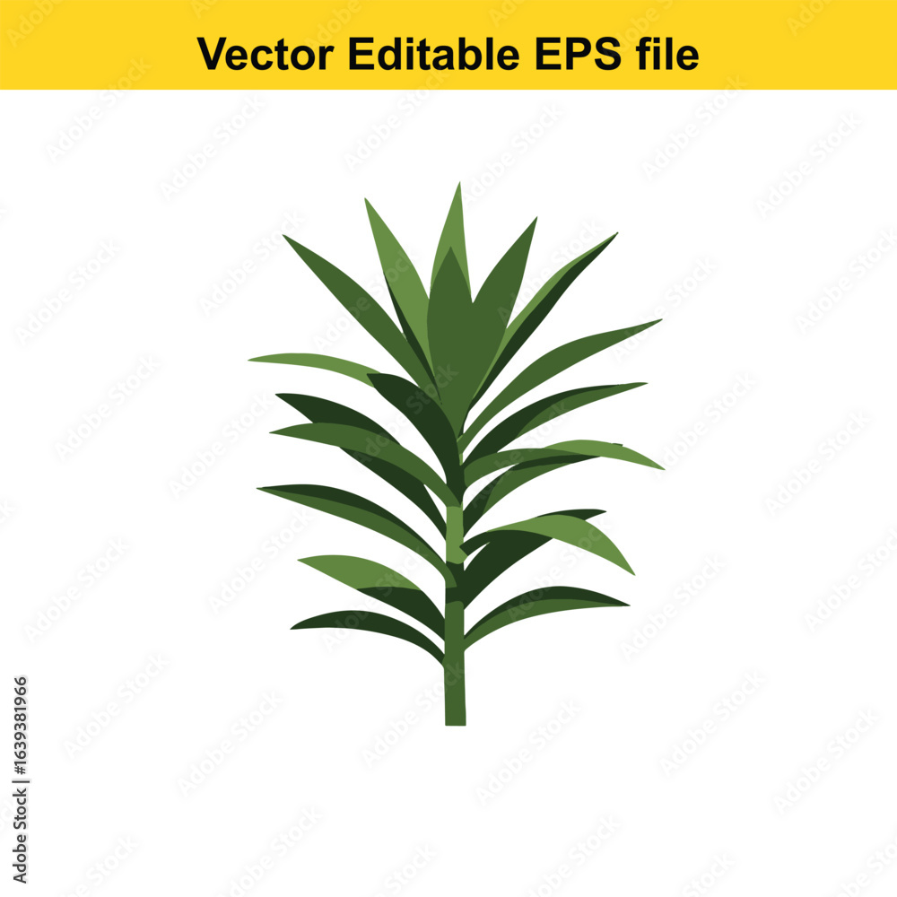 Fototapeta premium Indoor plant vector art of green plant with pointed leaves isolated on white background, vector illustration