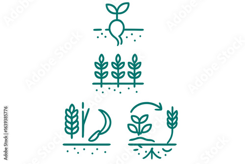 Illustration of agricultural processes highlighting planting, growth, and harvesting stages in crop production
