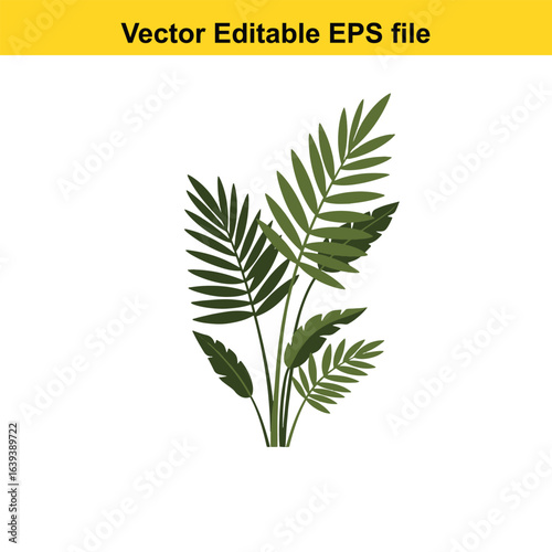 Indoor plant vector art of green tropical plant leaves isolated on white background