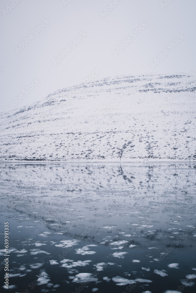 Obraz premium Perfect mirror-like reflections of snowy fjords in Iceland’s Westfjords, with colorful clouds illuminated by the setting sun. A serene and atmospheric Nordic seascape.