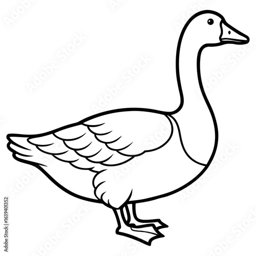 Illustration of a goose standing, isolated on white background