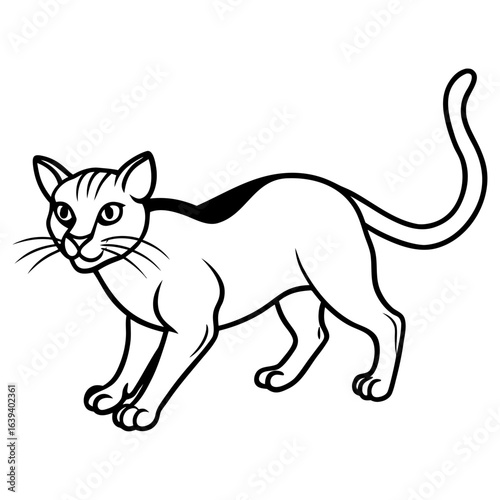 A black and white illustration of a cat standing, isolated on white background