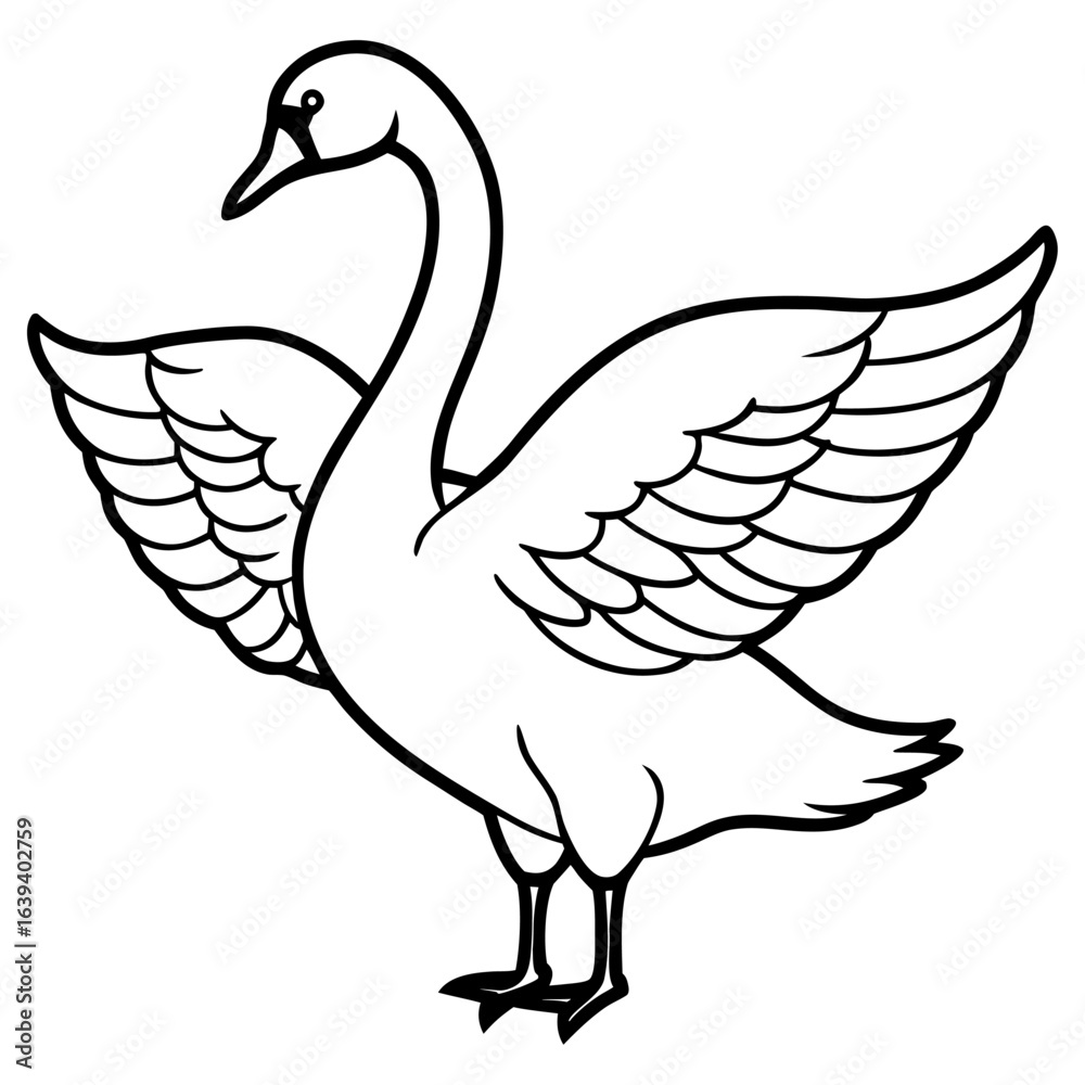 Fototapeta premium Swan with wings spread open isolated on white background