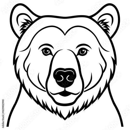Bear face isolated on white background