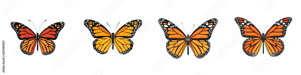Obraz premium Monarch Butterfly Collection: Colorful Insect Vector Set