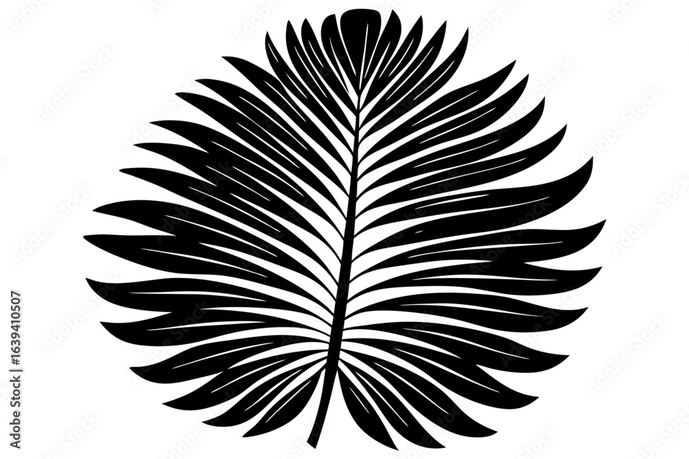 Obraz premium Feather vector illustration