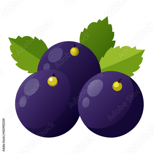 vector illustration of ripe plums with leaves