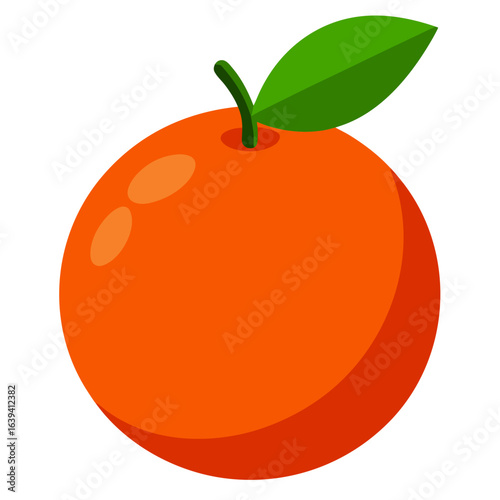 vector illustration of an orange fruit