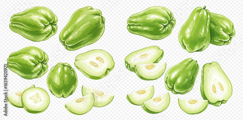 A collection of realistic chayote squash illustrations, showing the green vegetable whole, halved, and sliced to reveal its inner seed.