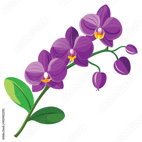 Purple Orchid and Tropical Flower Vector Design
