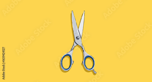 set of scissors