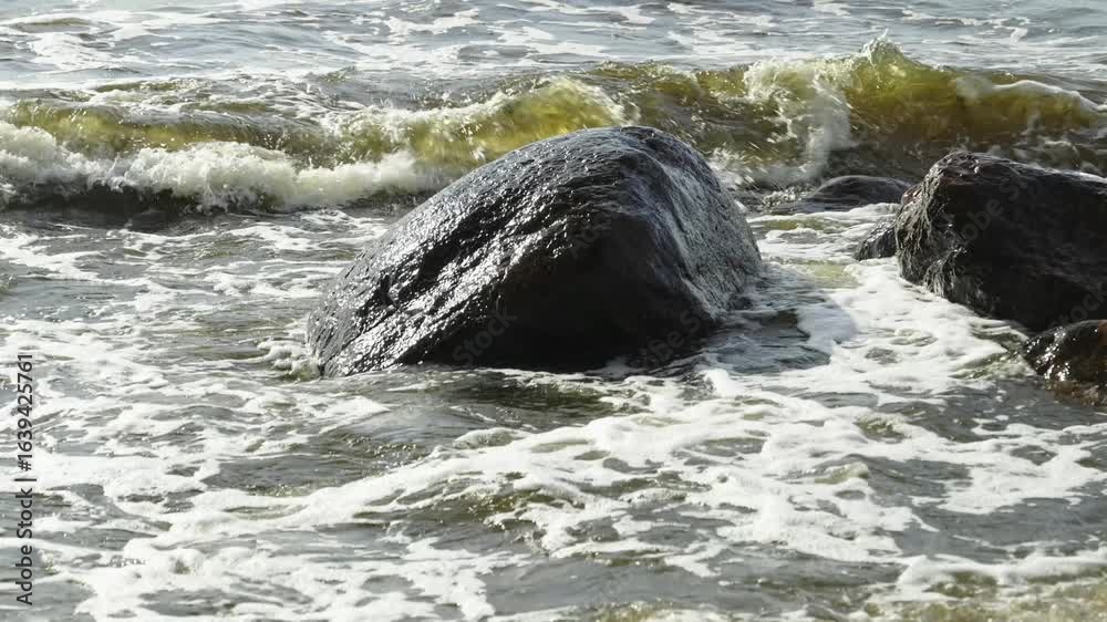 custom made wallpaper toronto digitalSandy coastline of the Baltic Sea in Latvia. Yellow sand and large stones on the shore. Waves run onto the beach on a sunny day. Latvia, Gulf of Riga. Slow motion