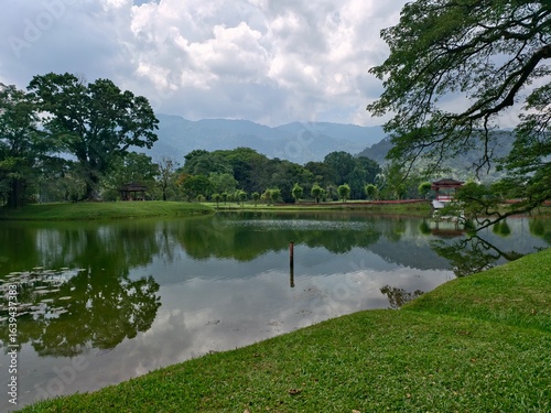 lake in the park