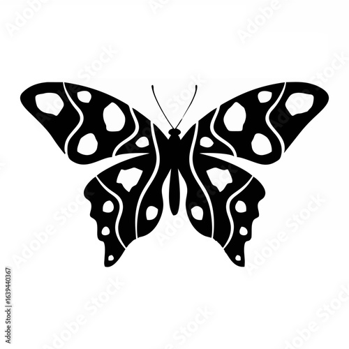 Butterfly with tropic tracery...