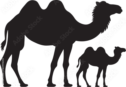 Black Silhouette of a Dromedary Camel and a Baby Camel Together camelid animal