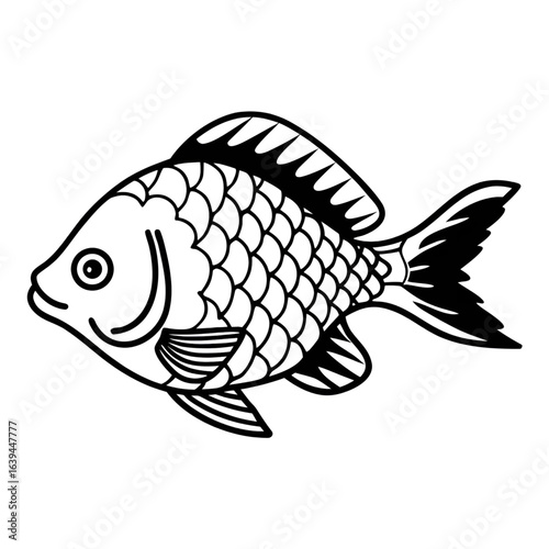 Detailed vector illustration of a freshwater fish
