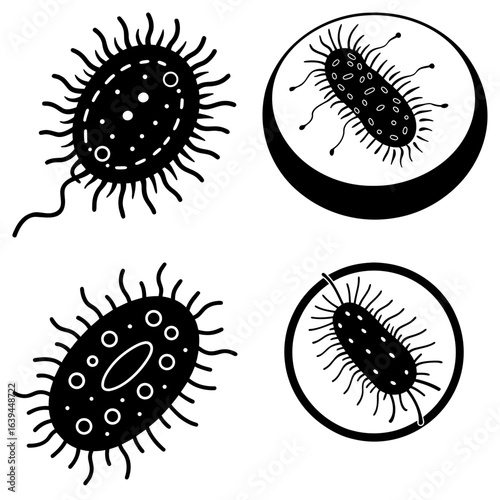 Illustration of four bacteria cells with flagella and internal structures in black and white style