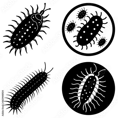 Collection of four black and white drawings of microorganisms with spiky appendages and oval bodies