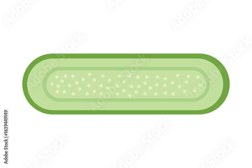 half of cucumber vegetable.