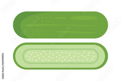 half cucumber.  fresh cucumber illustration.