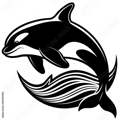 Black and white vector illustration of an orca whale jumping out of the water, isolated on white background, perfect for prints and decorations, marine wildlife