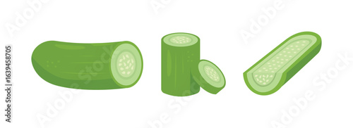collection of cucumber illustration. cucumber clip art. vegetable object.