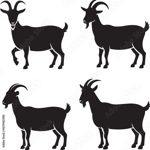 Four Black Goat Silhouettes in Different Poses Against White Background animal