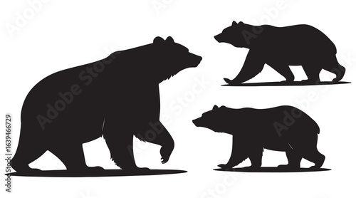 Silhouette of a mother bear and two cubs walking