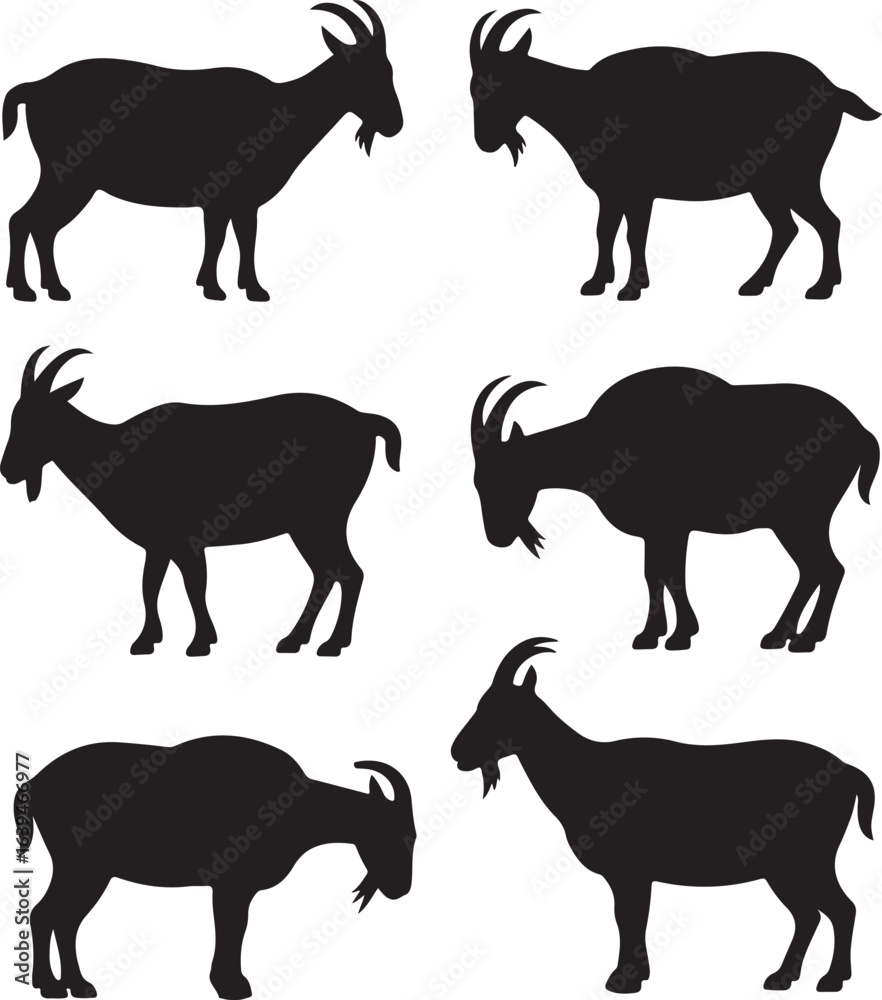 Fototapeta premium Six Black Silhouette Goats Standing and Sitting on White Background animal farm