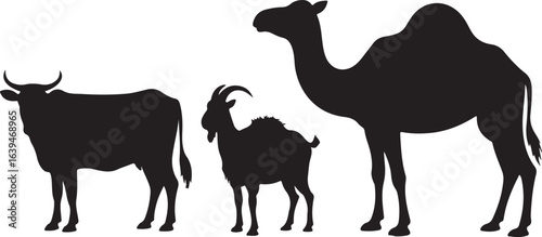 Silhouettes of Cow, Goat, and Camel Standing Side-by- Side on White Background animal