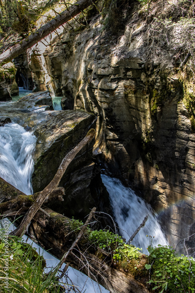 Fototapeta premium Wandern in Flims/ Laax, Schweiz am Wasserweg