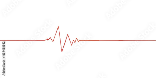 Electrocardiogram (ECG) monitor showing a red heartbeat pulse wave on a medical health chart with a flatline