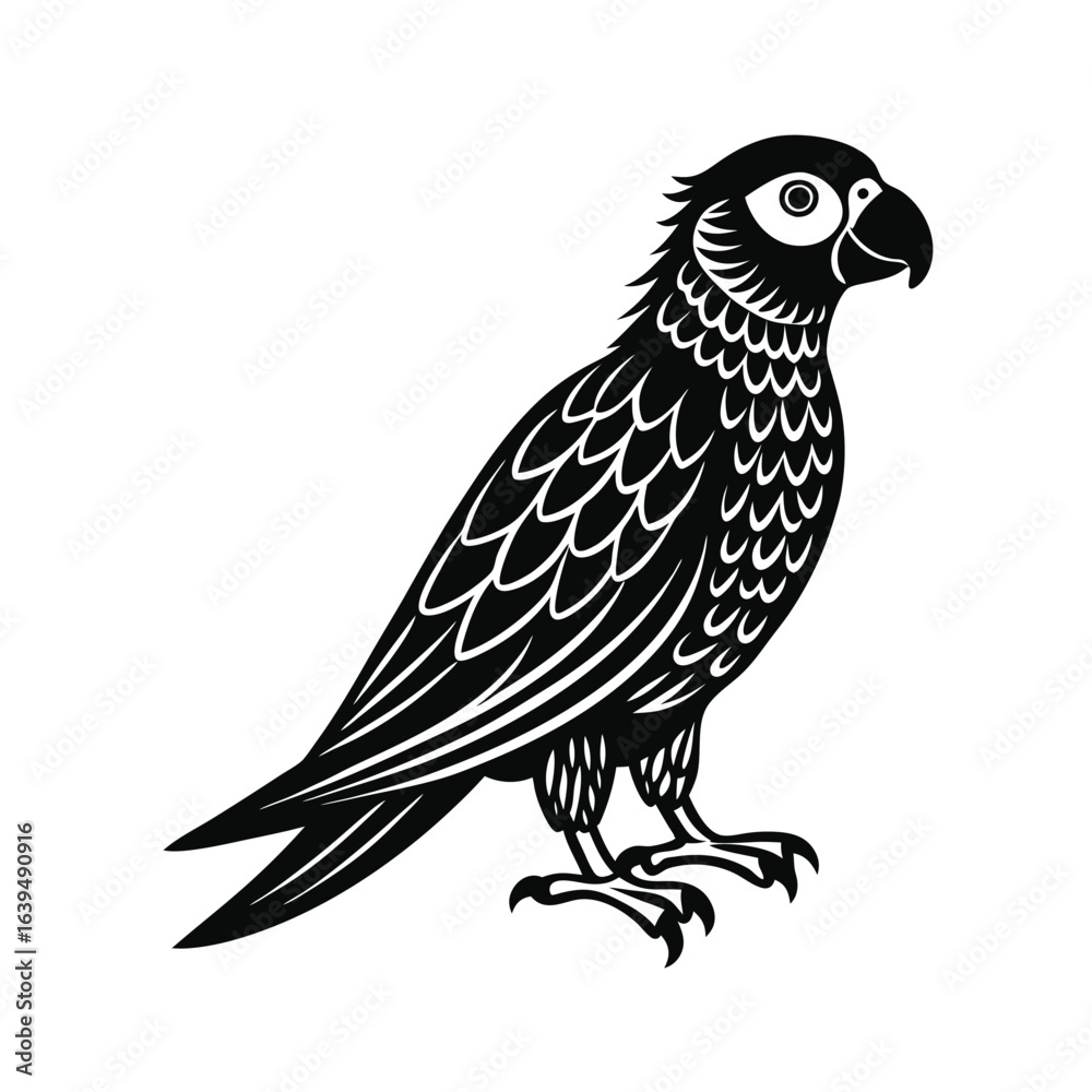 Fototapeta premium Parrot Colorful Bird Vector Silhouette On White Background