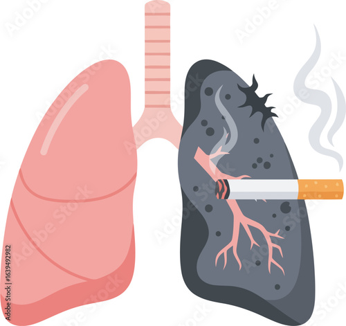 A visual comparison of healthy and damaged lungs, highlighting the effects of smoking with a cigarette.