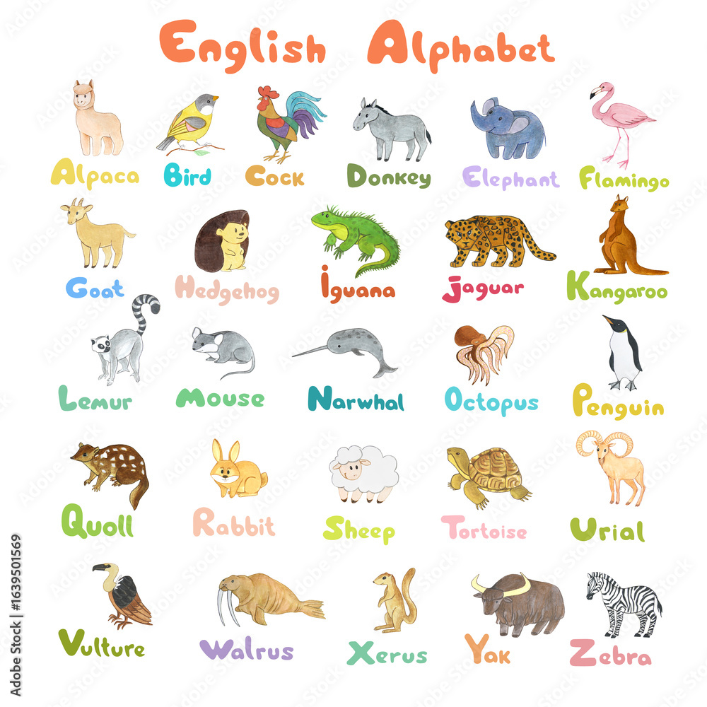 Obraz premium English Animal Alphabet for Kids. Cartoon Letters and Funny Animal Drawings