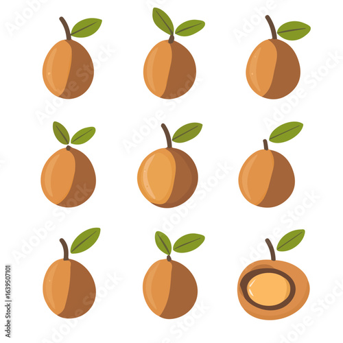Geometric-style flat vector illustration of sapodilla fruit set collection, abstract 2D modern design with clean, smooth shapes, isolated on a white background