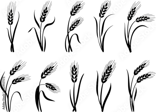 Wheat Ears Black Silhouette Icon Set - Agriculture and Harvest Graphics