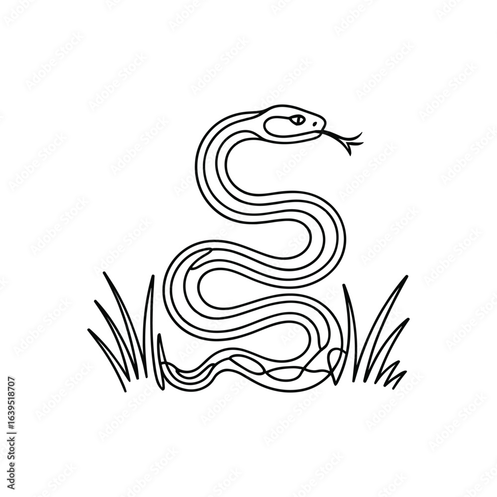 Fototapeta premium A coiled serpent with a forked tongue emerges from grass snake reptile