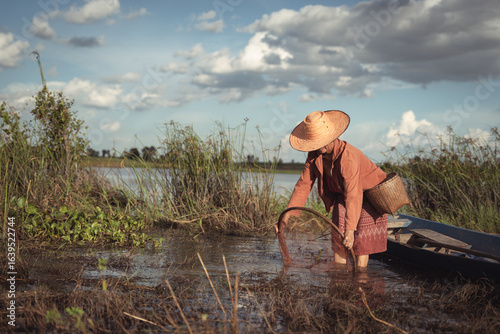 Woman Collecting Water Plants in Wetlands Under Blue Sky with Fluffy Clouds in Rural Landscape