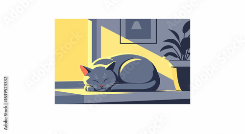 Sleeping gray cat curled up on a windowsill bathed in warm light