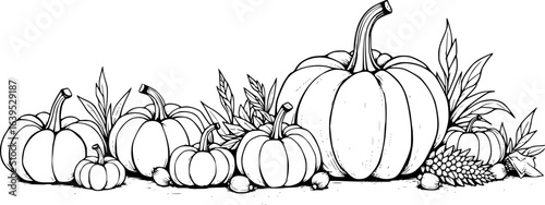 Black and white pumpkin illustration, perfect for Thanksgiving coloring pages, fall harvest decorations, and seasonal craft designs