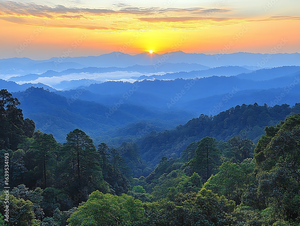 Fototapeta premium The sunrise illuminates the mountains and the forest below the sky