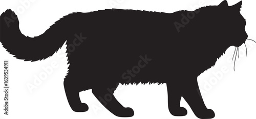 Siberian cat walking full image in silhouette image white background۔