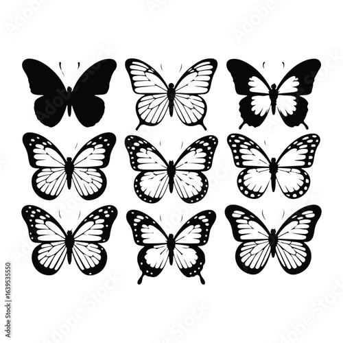 Black and white butterfly silhouettes insect