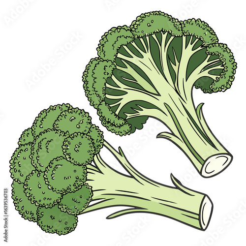 Green broccoli florets and stalks vegetable food