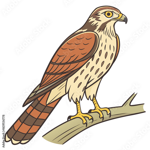 Brown and tan bird perched on a branch falcon hawk