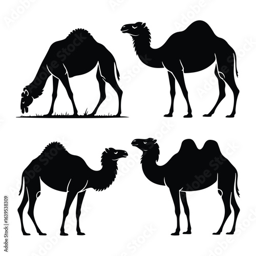 Black camel silhouettes on white background dromedary