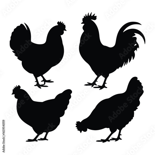 Black chicken and rooster silhouettes white